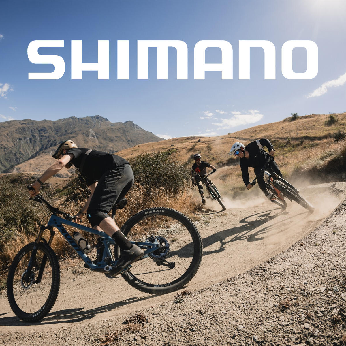 shimano