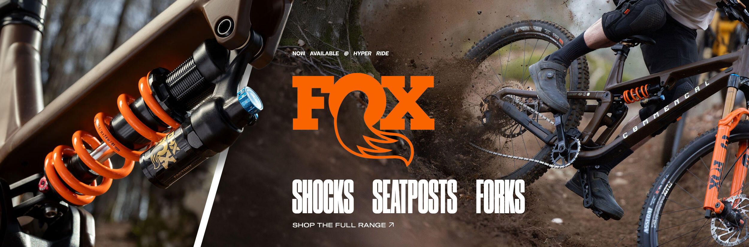 FOX SUS