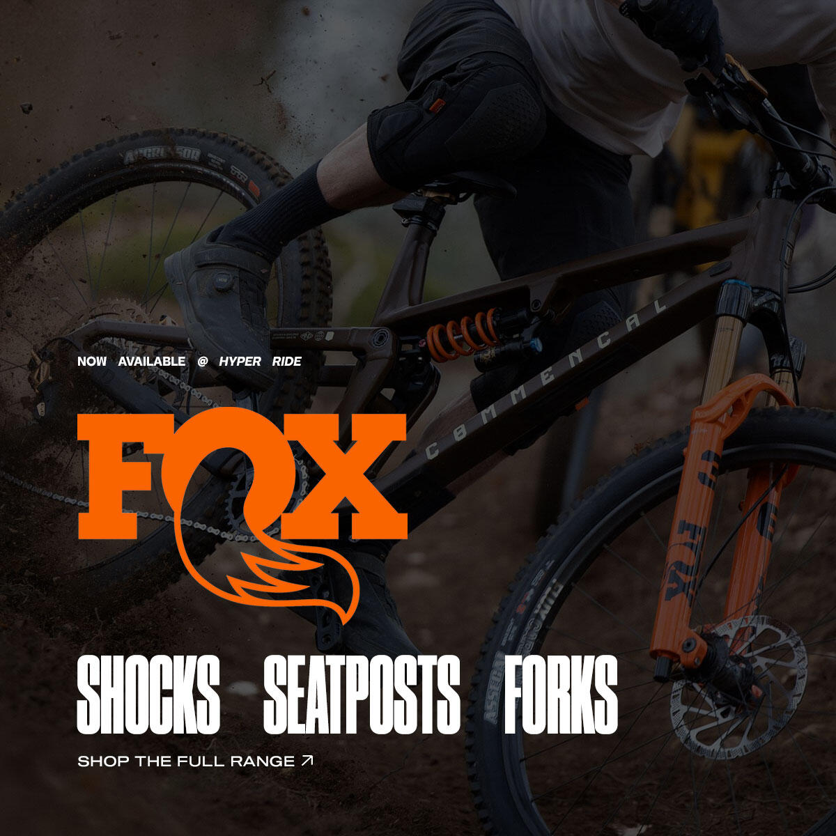 FOX SUS