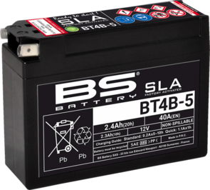 BS BATTERY BS SLA BATTERY BB9-B (FA) (YB9-B) [WITH ACID]