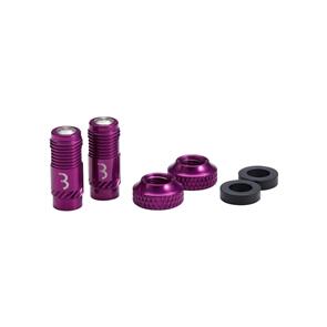 BBB VALVE CAPS CORECAP 2PCS - PURPLE