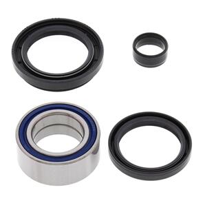 ALL BALLS WHEEL BRG KIT 25-1003