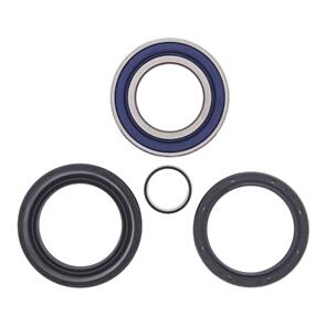 ALL BALLS WHEEL BRG KIT 25-1004