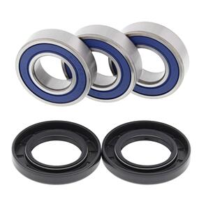 ALL BALLS WHEEL BRG KIT 25-1021