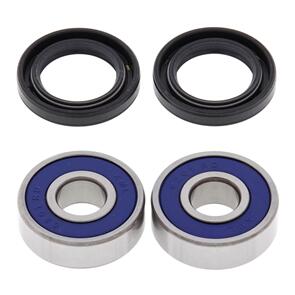 ALL BALLS WHEEL BRG KIT 25-1027