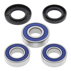 ALL BALLS WHEEL BRG KIT 25-1066