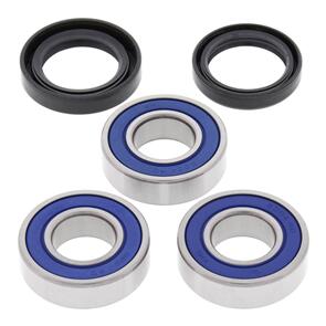 ALL BALLS WHEEL BRG KIT 25-1202