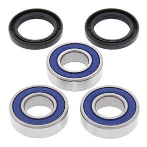 ALL BALLS WHEEL BRG KIT 25-1243