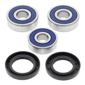 ALL BALLS WHEEL BEARING KIT 25-1324