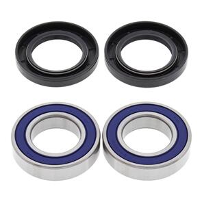 ALL BALLS WHEEL BRG KIT 25-1396