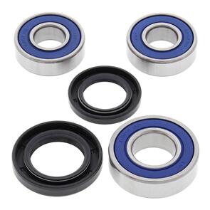 ALL BALLS WHEEL BRG KIT 25-1411 AG100/200 84-15 RR