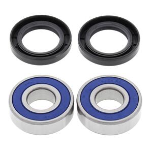 ALL BALLS WHEEL BEARING KIT 25-1491