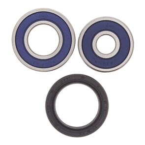 ALL BALLS WHEEL BRG KIT 25-1589 RWHL TTR110 08-15
