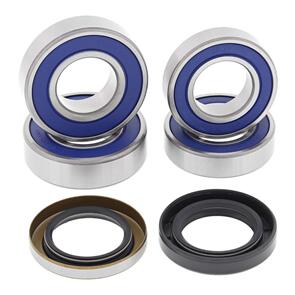 ALL BALLS WHEEL BEARING KIT 25-1673