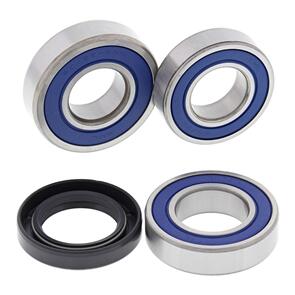 ALL BALLS WHEEL BEARING KIT 25-1720