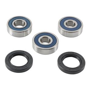 ALL BALLS WHEEL BEARING KIT 25-1755