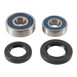 ALL BALLS WHEEL BEARING KIT 25-1791