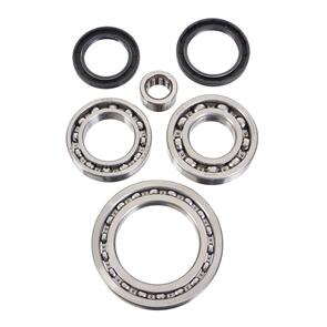 ALL BALLS DIFFERENTIAL BEARING KIT 25-2024