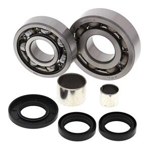 ALL BALLS DIFFERENTIAL BEARING KIT 25-2053