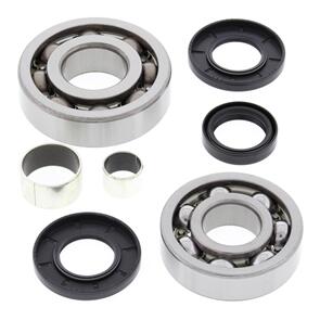 ALL BALLS DIFFERENTIAL BEARING KIT 25-2054
