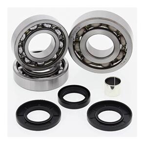 ALL BALLS DIFFERENTIAL BEARING KIT 25-2058