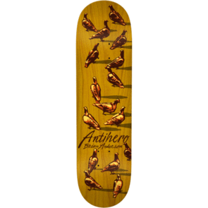 ANTI HERO BRIAN ANDERSON DAWN OF THE PIGEON 8.8"