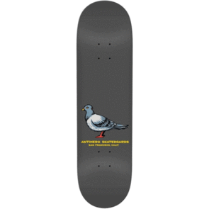 ANTI HERO TEAM PIGEON GREY 8.25