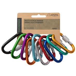 ATEPA SCREW LOCK CAMPING CARABINER SET OF 10