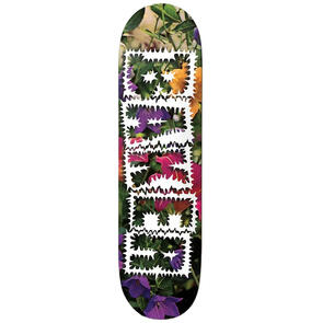 BAKER SKATEBOARDS DECK ANDREW RENYOLDS LIBRARY CARD DECK 8.0