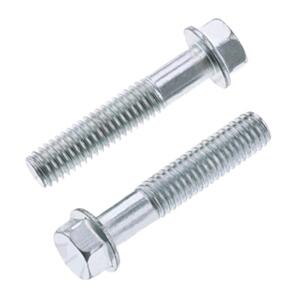 BOLT 6X30MM HEX FLANGE BOLTS (PKT OF 10) REPLEN