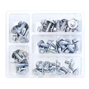 BOLT SVC M6 HEX FLNG BOLT/WSHR SERVICE KIT