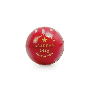 VICTOR CRICKET BALL ACADEMY 2PC RED 142G