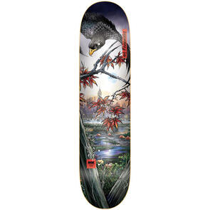 DGK 8.1" PROSPERITY FAGUNDES DECK