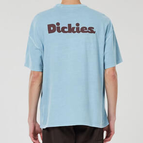 DICKIES SCRIPT TEE SS MOVE ON TEE SS GLACIER LAKE