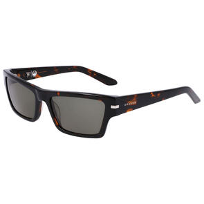 DRAGON JOSIAH TORTOISE / LL G15