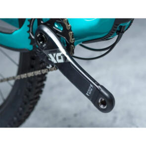 DYEDBRO CRANKS - 175