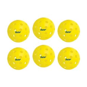 VICTOR PICKLEBALL INDOOR (3)