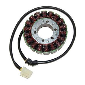 ELECTROSPORT STATOR TRIUMPH TIGER 1050 - 115/42 HI TE