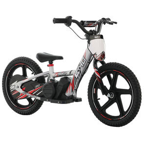 EVOCA E40 ELECTRIC 16' BALANCE BIKE SILVER