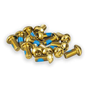 FUNN DISC ROTOR BOLTS, T25, 10MM M5 X 0.8 PIECE PACK GOLD