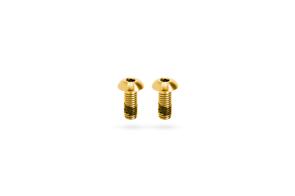 KOGEL TITANIUM BIDON (BOTTLE) BOLTS GOLD