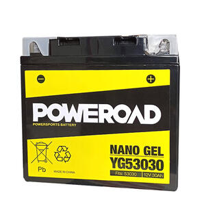 POWEROAD YG53030 NON-DG NANO GEL BATTERY ALT: 12N243