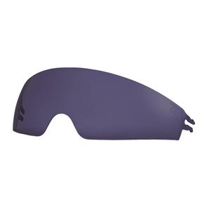 LS2 FF800 FF808 FF807 OF620 OF618 SUN VISOR TINTED FOR ECE2