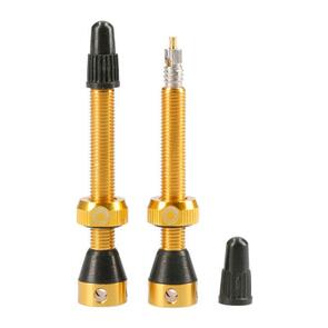 TUBOLIGHT TUBELESS VALVE PAIR 50MM  GOLD