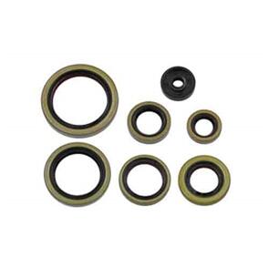 PSYCHIC MX NX-09398 PSYCHIC MX ENGINE OIL SEAL SET GAS GAS EC250 EX300 21 HUSQVARNA TC250 17-19 TE250 17-18 TE250 TPI 18-19