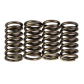 PREMIER CLUTCH SPRINGS - HEAVY DUTY PBCSK204