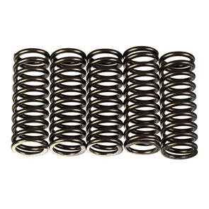 PREMIER CLUTCH SPRINGS - HEAVY DUTY PBCSK215