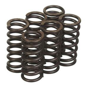 PREMIER CLUTCH SPRINGS - HEAVY DUTY PBCSK2