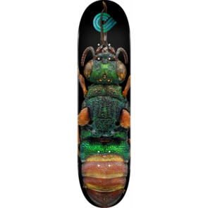 POWELL PERALTA LEVON BISS RUBY TAILED WASP DECK 8.50"