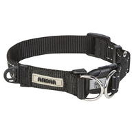 RADAR DOG COLLAR ASST COLORS